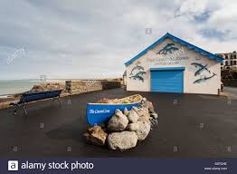 coastal zone marine and coastal wildlife centre  free